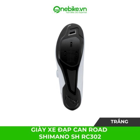 Giày xe đạp can Road SHIMANO SH RC302