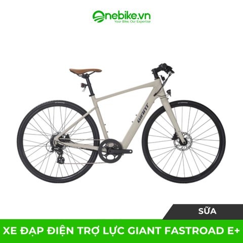 Xe đạp trợ lực điện GIANT FASTROAD E+
