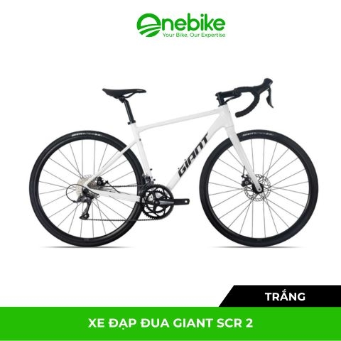 Xe đạp đua GIANT SCR 2 2025