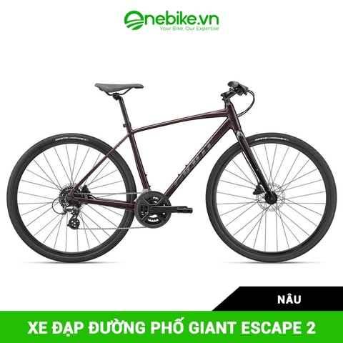 Xe đạp đường phố GIANT ESCAPE 2 2024