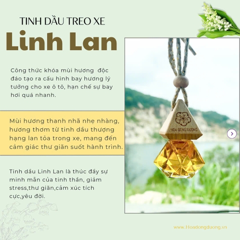 Tinh Dầu Treo Xe - Linh Lan