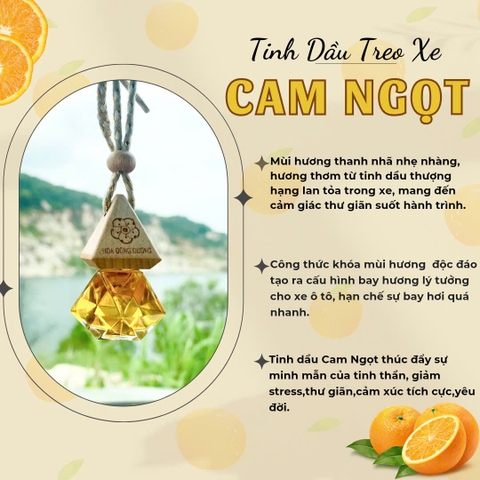 Tinh Dầu Treo Xe - Cam Ngọt