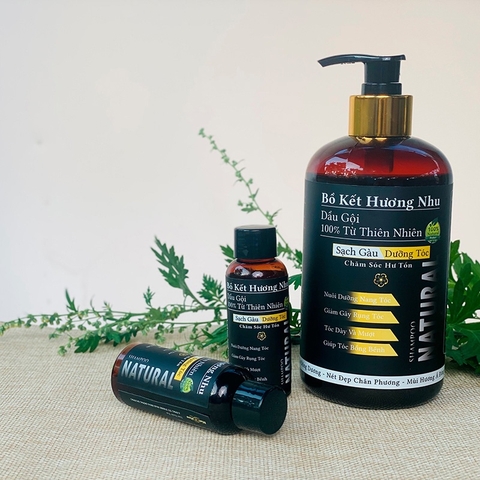 Dầu Gội Thảo Mộc Bồ Kết Hương Nhu 500gr - Phục Hồi Hư Tổn - Hoa Đông Dương