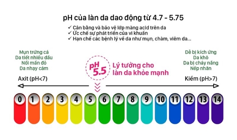 Độ pH là gì? Hiểu rõ về thang đo quan trọng trong dung dịch và tác động đến sức khỏe làn da
