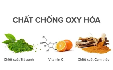 Tìm hiểu những thành phần cần có trong kem dưỡng ẩm