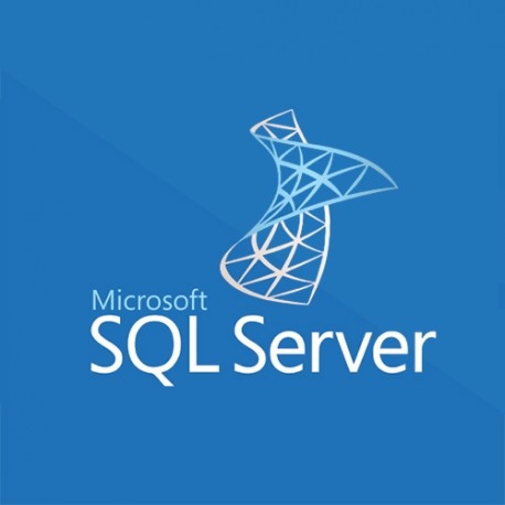 SQL Server 2022 Standard Edition