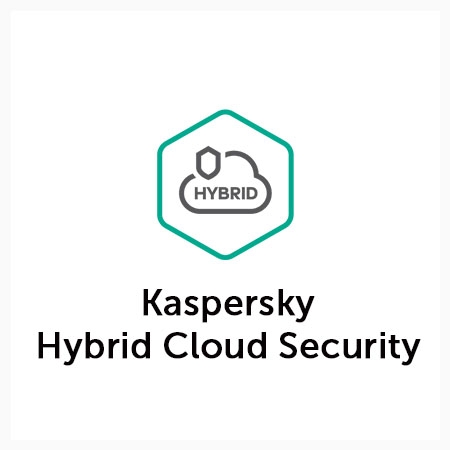 Kaspersky Hybrid Cloud Security, Server