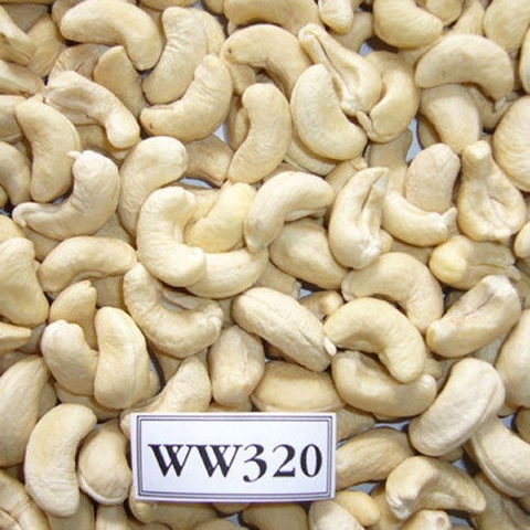CASHEW NUT W320