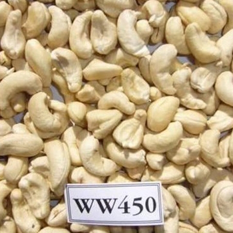 CASHEW NUT W450