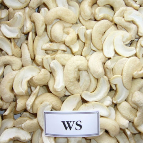 CASHEW NUT WS
