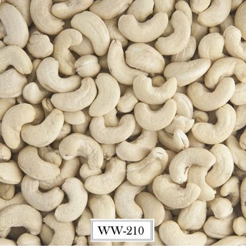 CASHEW NUT WW-210