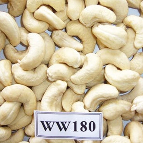 CASHEW NUT WW180