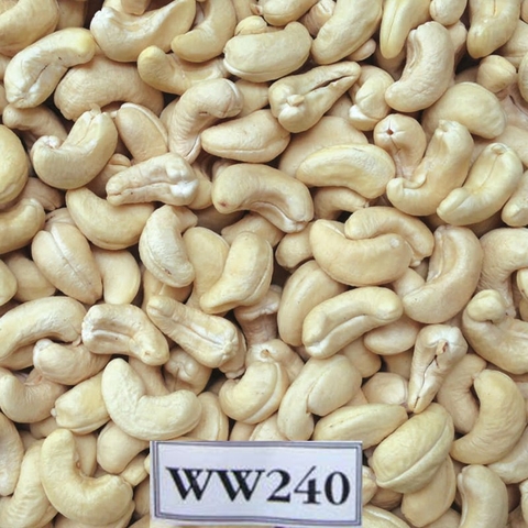 CASHEW NUT WW240
