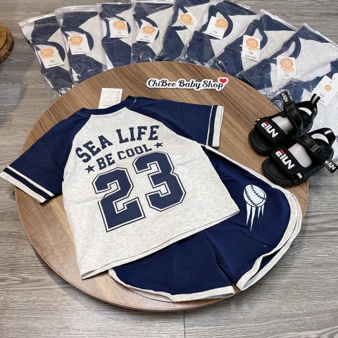 T757-Bộ cộc cotton phối cu Shin (11.30kg)