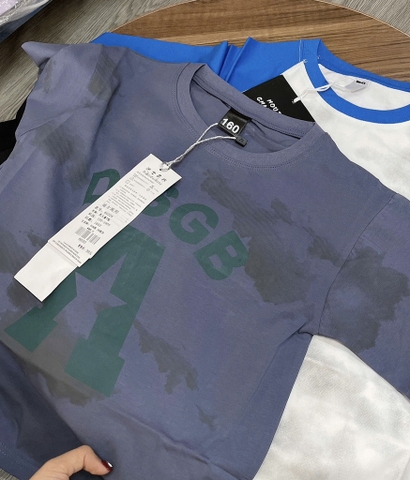 A205-Áo chữ A xanh xám Cồ (25.45.247)