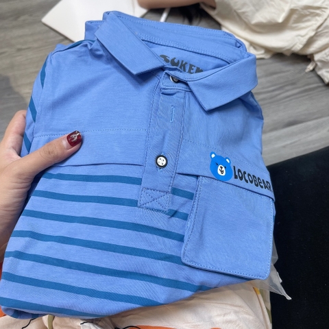 A414-Áo polo gấu kẻ xanh