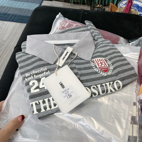 A457-Áo polo QC tay dài số 06 kẻ xám (12.25kg)