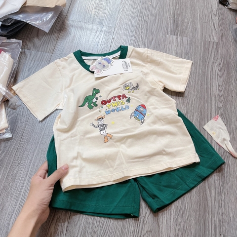 T628-Bộ cotton viền tên lửa rêu (10.18kg)