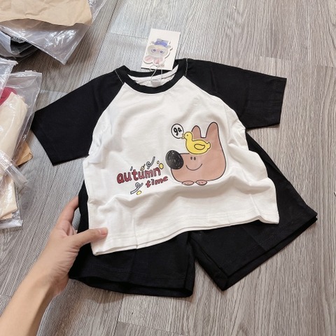 T623-Bộ cotton viền chó đen (10.18kg)