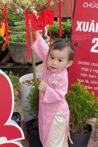 G747-Áo dài gấm hồng 2 cúc