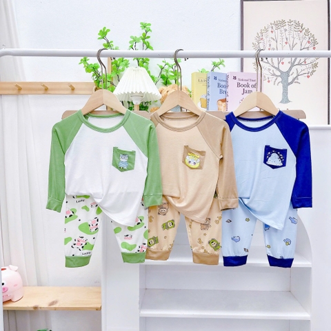 B429-Bộ dài thun lạnh in túi (05.15.280)