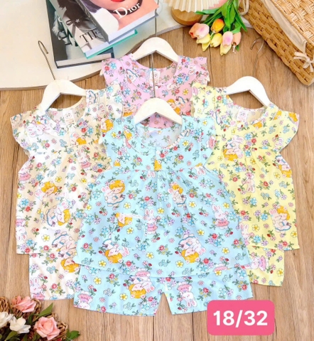 B534-Bộ lanh bé gái cánh tiên S18/32 (13.17kg)