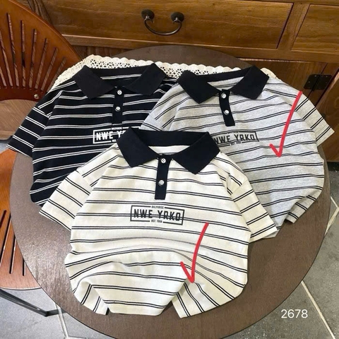 A386-Áo polo QC TXR kẻ NY (10.20kg)