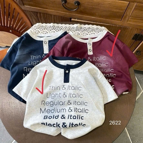 A389-Áo thun QC TXR xám cúc Thin (10.20kg)