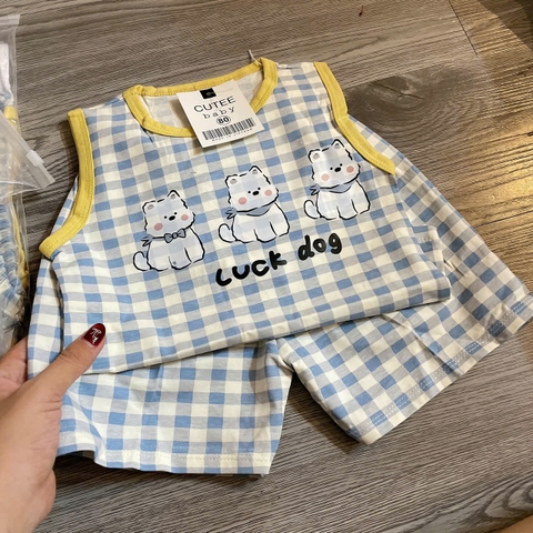 T650-Bộ balo cotton cún caro xanh (08.22kg)