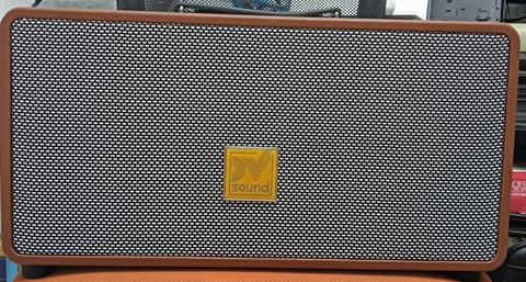 Loa Kéo Di Động Loa Xách Tay Sound T266