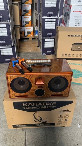 Loa Xách Tay Soundbox 8018G