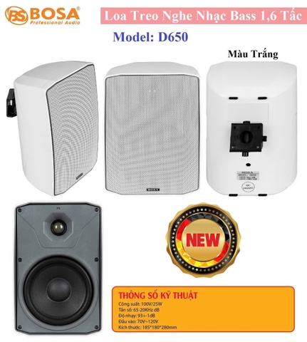 Loa Treo Tường Nghe Nhạc D650