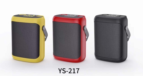 Loa Karaoke Bluetooth YS 217