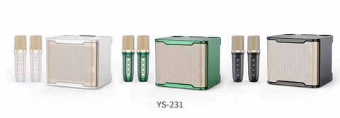 Loa Karaoke Bluetooth YS 231