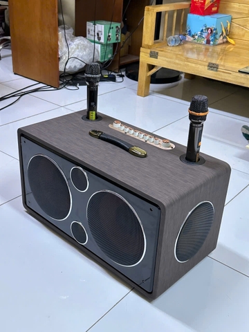 Loa Xách tay Karaoke Sound S218 2 BASS 25cm