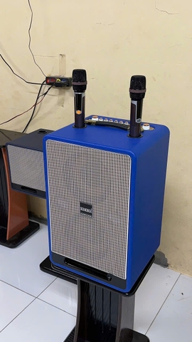 Loa xách tay Soundbox V11, 2 bass 20