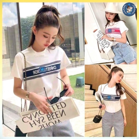 [A029] Áo len thun nữ Montoghi dệt kim Quảng Châu CỔ TRÒN cộc tay PHỐI CHỮ NGANG thanh lịch - L2M (Sale)