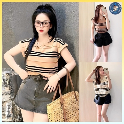 [A260] Áo len thun Montoghi dệt kim BBr GẤU NHỎ tay cánh dơi cổ polo hàng Quảng Châu kiểu mới - L2M