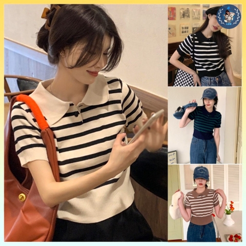 [A141] Áo len thun Montoghi dệt kim CỔ NÚT kẻ ngang BO GẤU tay ngắn cổ bẻ QC cực ngầu - L2M