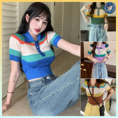 [A149] Áo len thun Montoghi dệt kim HÀNG KHUY CỔ phối màu KEM kiểu đơn giản thanh lịch - L2M (Sale)