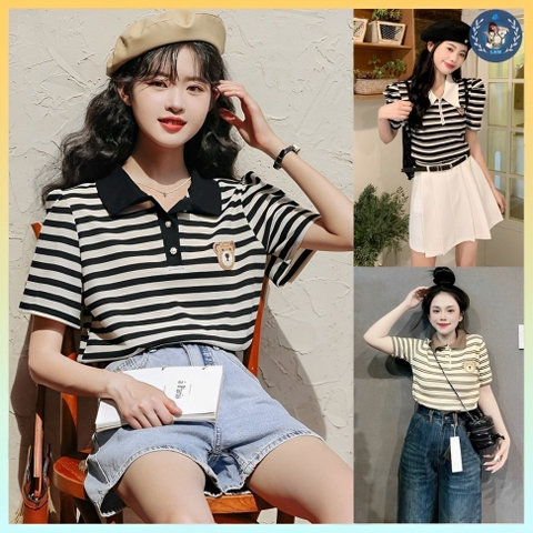 [A273] Áo len thun nữ Montoghi dệt kim SỌC CHÚ GẤU TAY NGẮN cổ bẻ hàng Quảng Châu đơn giản - L2M