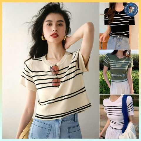 [A179] Áo len thun Montoghi dệt kim KẺ SỌC 522 tay ngắn QC kiểu dáng xinh xắn và thanh lịch - L2M