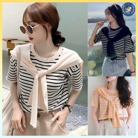 [A235] Áo len thun nữ Montoghi dệt kim PHỐI KHĂN QUÀNG CỔ kẻ sọc kiểu dáng Quảng Châu mới lạ - L2M  (Hot)