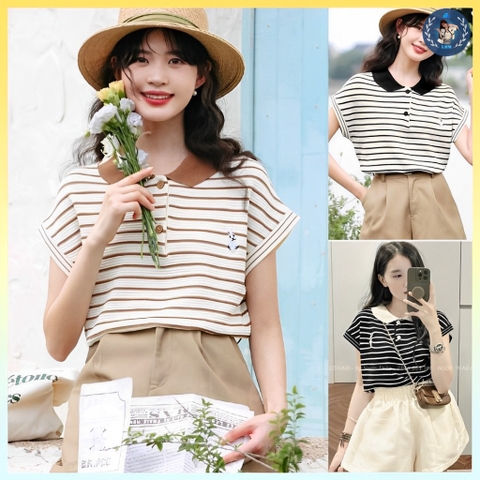 [A220] Áo len thun Montoghi nữ dệt kim SỌC GÂN LOGO THỎ tay cánh dơi viền kiểu mới Quảng Châu - L2M