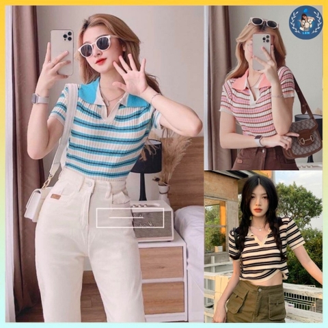 [A134] Áo len thun Montoghi dệt kim GÂN DỌC SỌC NGANG cổ đức phối màu Quảng Châu hài hòa - L2M (Sale)