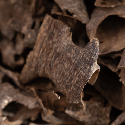 Trầm Hương Miếng Vụn Tự Nhiên Mùi Hương Sưu Tầm | Trầm Hương Ân Vũ - Hương Thơm Chữa Lành