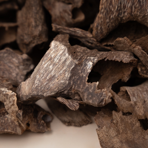 Trầm Hương Miếng Vụn Tự Nhiên Mùi Hương Sưu Tầm | Trầm Hương Ân Vũ - Hương Thơm Chữa Lành