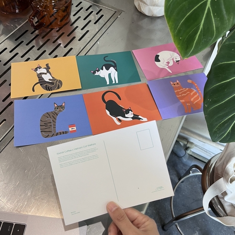 6 Postcards RAAW x Vietnam Cat Welfare