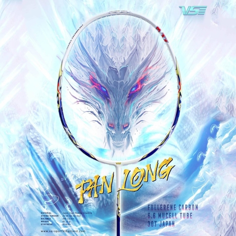 VỢT CẦU LÔNG VS PANLONG