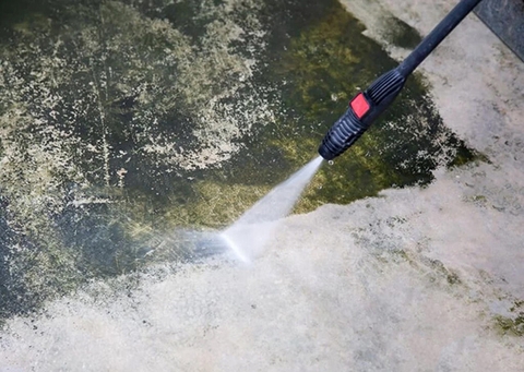 5 Cách Tẩy Rong Rêu Trên Nền Gạch An Toàn tại nhà